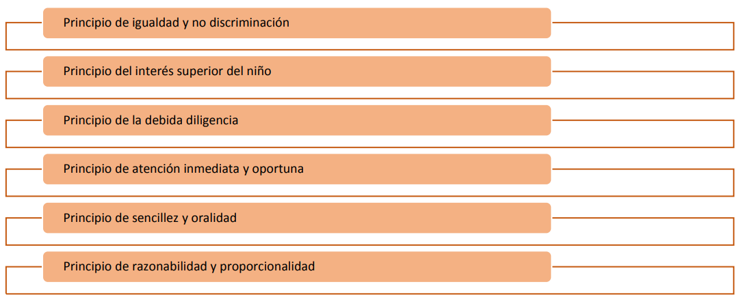 Esquema de los principios básicos de la Ley 30364