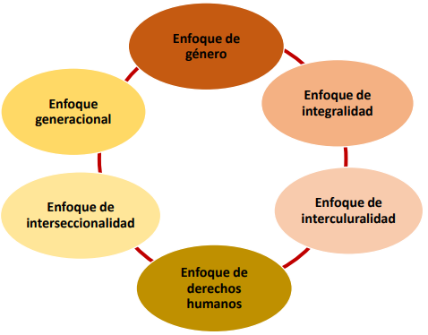 Diagrama de los enfoques de la Ley 30364