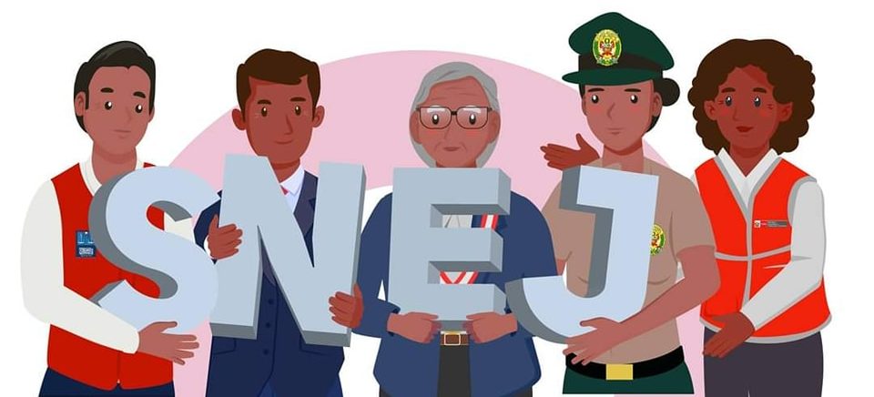 Equipo de instituciones del SNEJ